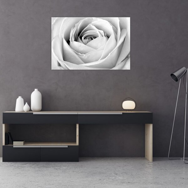 Tablou - Detailu de floare de trandafir (90x60 cm)