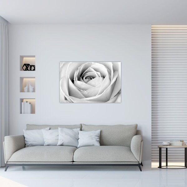 Tablou - Detailu de floare de trandafir (90x60 cm)