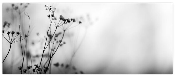 Tablou - Detailu florior de luncă (120x50 cm)