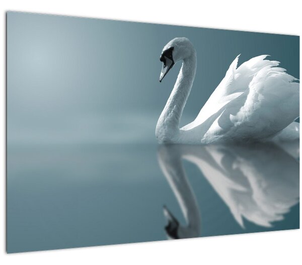 Tablou -Lebădă albă (90x60 cm)