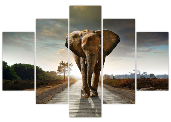 Tablou cu elefant (150x105 cm)