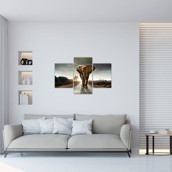 Tablou cu elefant (90x60 cm)
