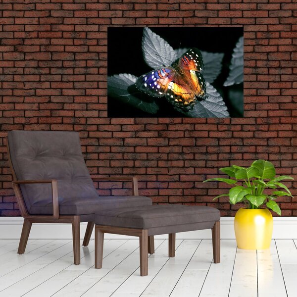 Tablou cu fluture (90x60 cm)