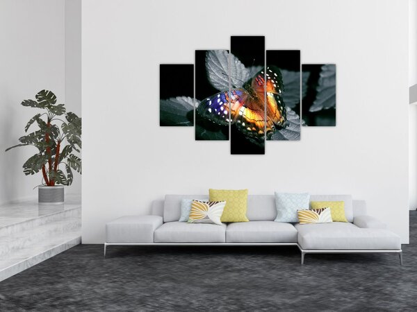 Tablou cu fluture (150x105 cm)