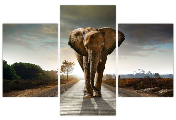 Tablou cu elefant (90x60 cm)