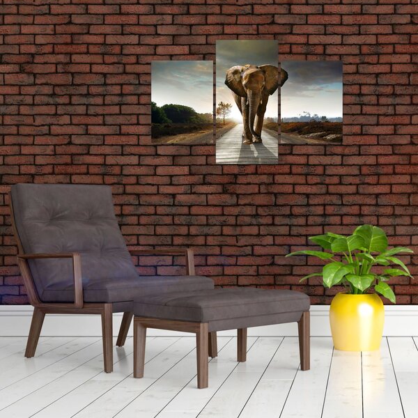 Tablou cu elefant (90x60 cm)