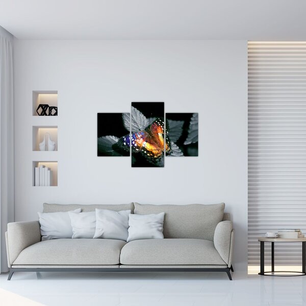 Tablou cu fluture (90x60 cm)
