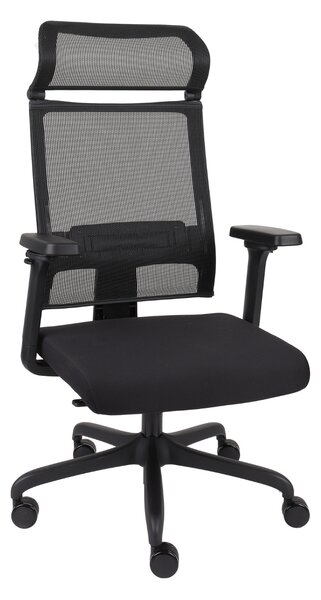Scaun de birou Ergofix