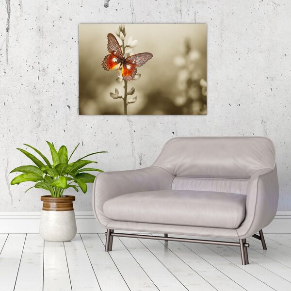 Tablou cu fluture (70x50 cm)