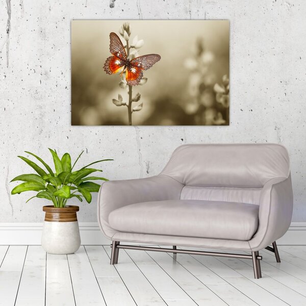 Tablou cu fluture (90x60 cm)