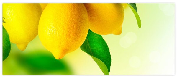 Tablou cu lămâi (120x50 cm)