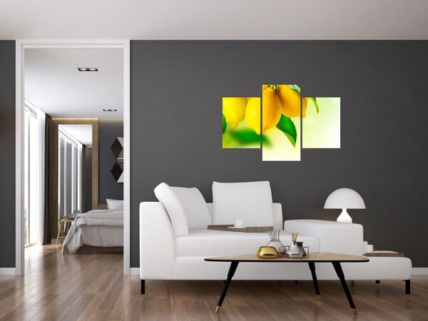 Tablou cu lămâi (90x60 cm)
