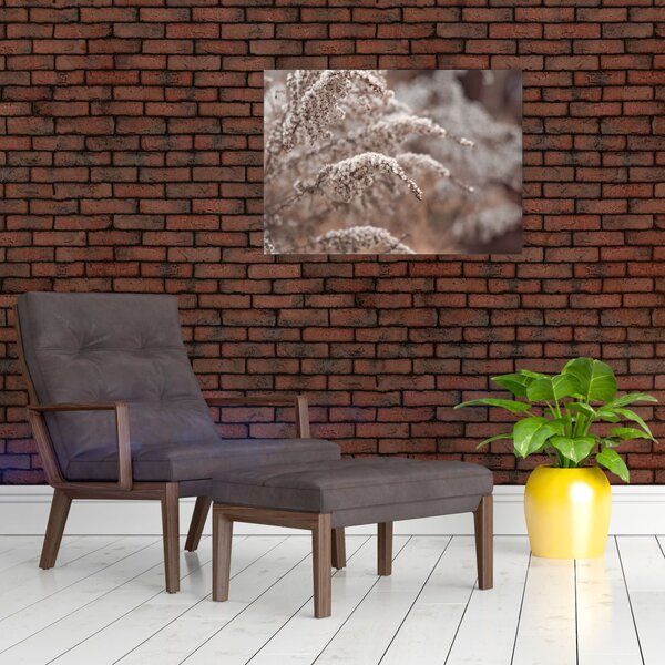 Tablou cu plante (70x50 cm)