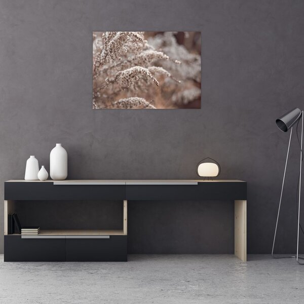 Tablou cu plante (70x50 cm)