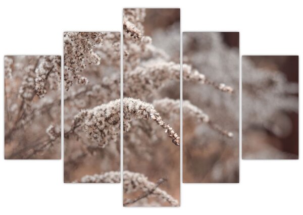 Tablou cu plante (150x105 cm)