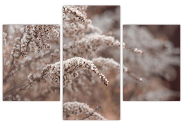 Tablou cu plante (90x60 cm)