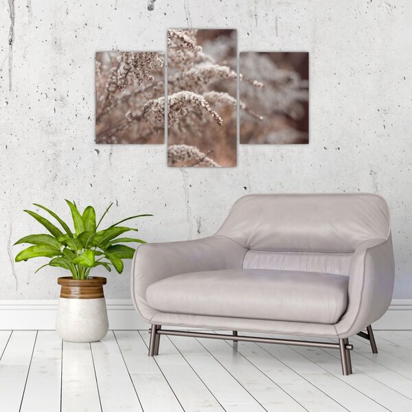 Tablou cu plante (90x60 cm)