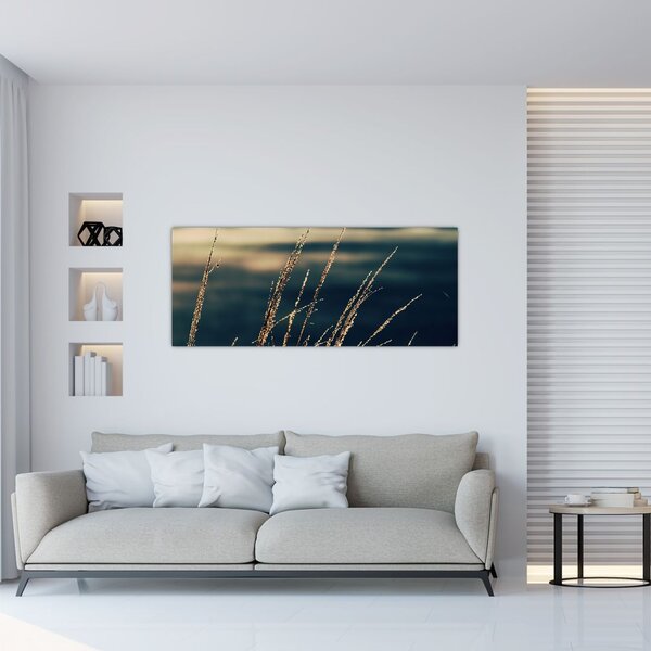 Tablou cu ierburi (120x50 cm)