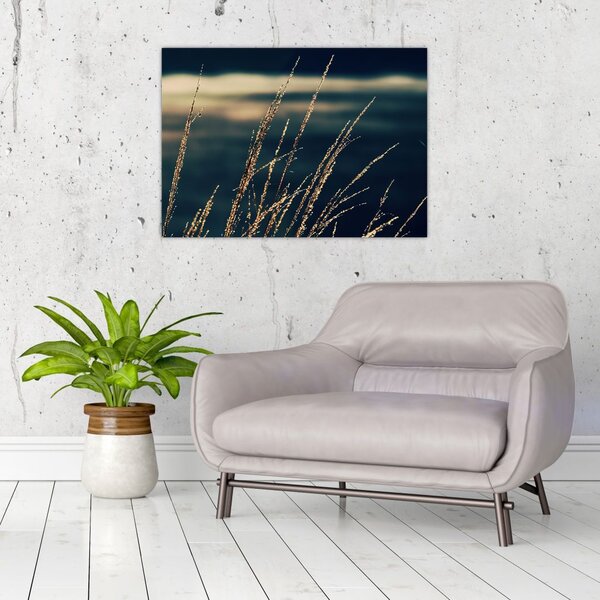 Tablou cu ierburi (70x50 cm)