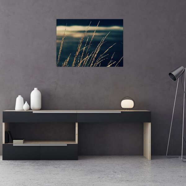 Tablou cu ierburi (70x50 cm)