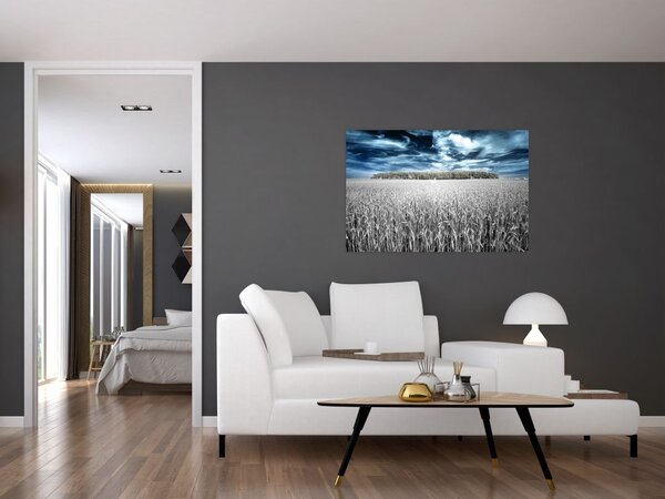 Tablou cu câmp (90x60 cm)