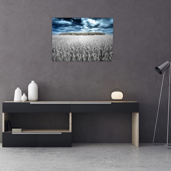 Tablou cu câmp (70x50 cm)