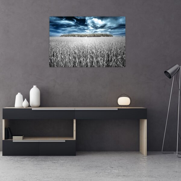 Tablou cu câmp (90x60 cm)