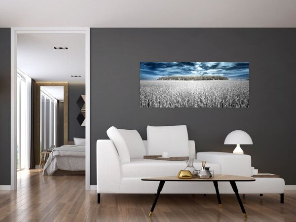 Tablou cu câmp (120x50 cm)