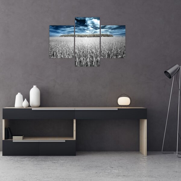 Tablou cu câmp (90x60 cm)