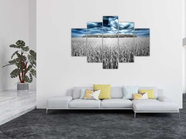 Tablou cu câmp (150x105 cm)