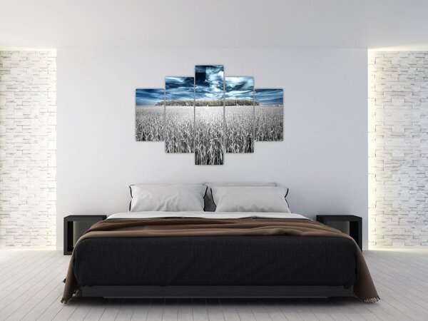 Tablou cu câmp (150x105 cm)