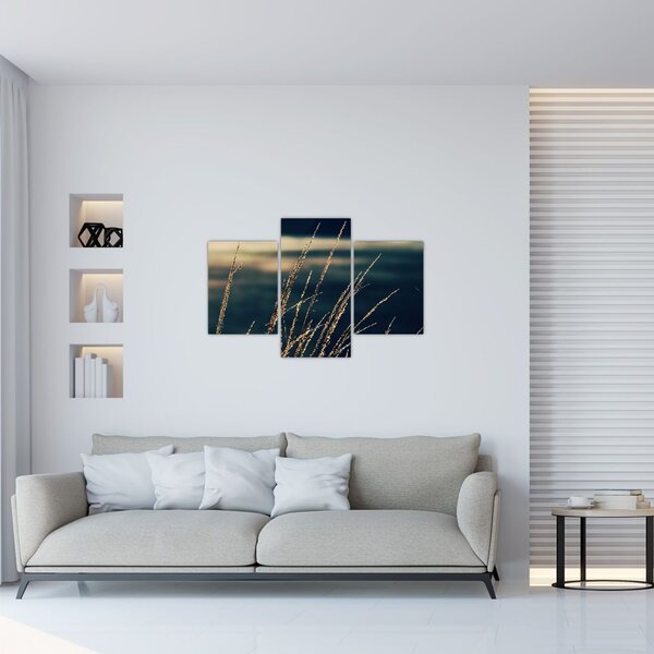 Tablou cu ierburi (90x60 cm)