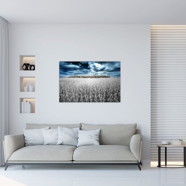 Tablou cu câmp (90x60 cm)