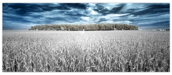 Tablou cu câmp (120x50 cm)