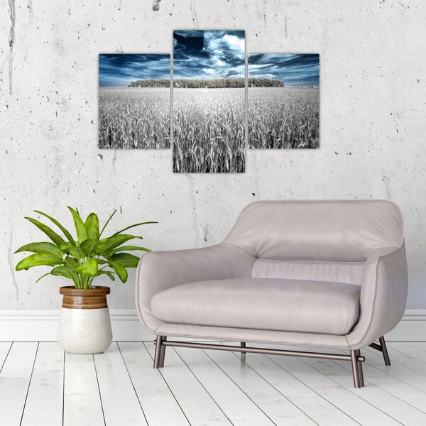 Tablou cu câmp (90x60 cm)