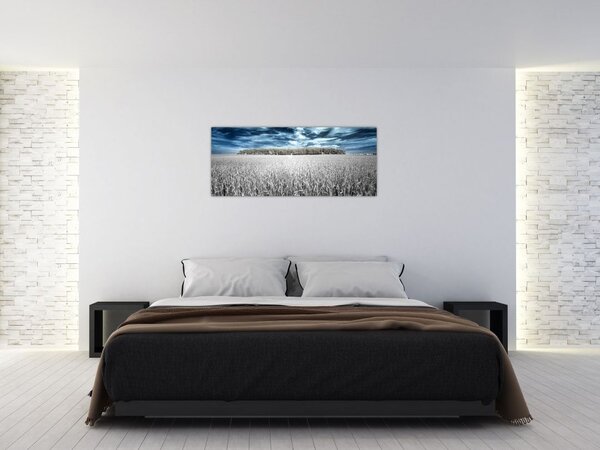 Tablou cu câmp (120x50 cm)