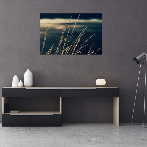 Tablou cu ierburi (90x60 cm)