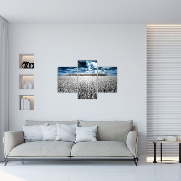 Tablou cu câmp (90x60 cm)