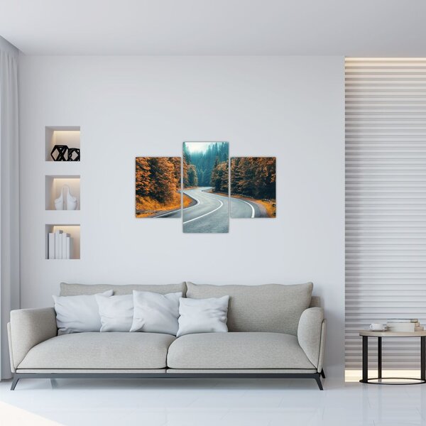 Tablou - Drumul cu serpentine (90x60 cm)