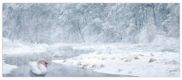 Tablou cu lebăde (120x50 cm)