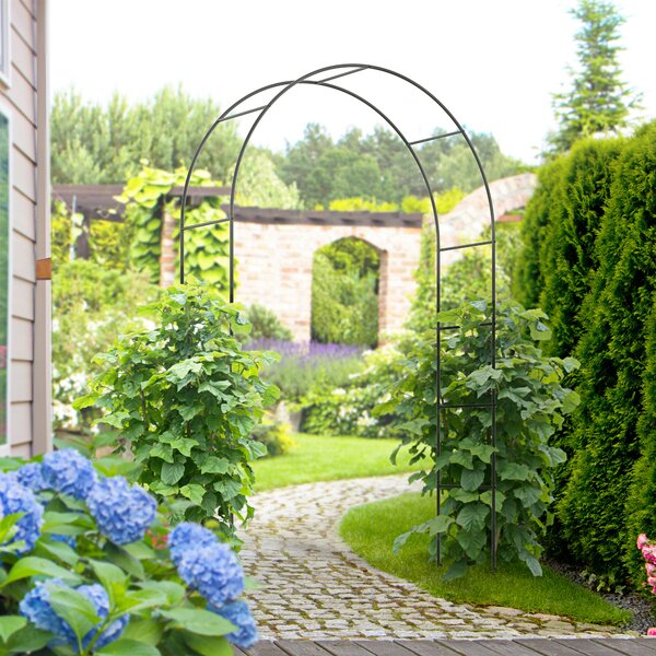 Outsunny Arc de Grădină pentru Trandafiri și Plante Cățărătoare, Structură Metalică Rezistentă, 140x40x240 cm, Negru | Aosom Romania