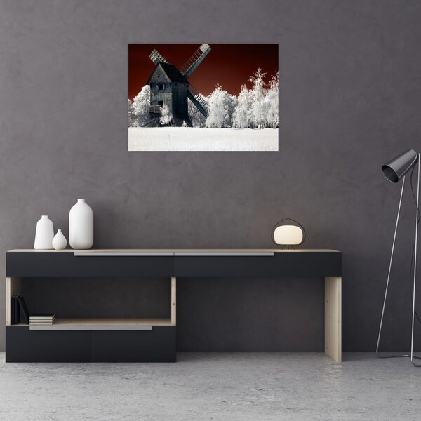 Tablou cu moară (70x50 cm)