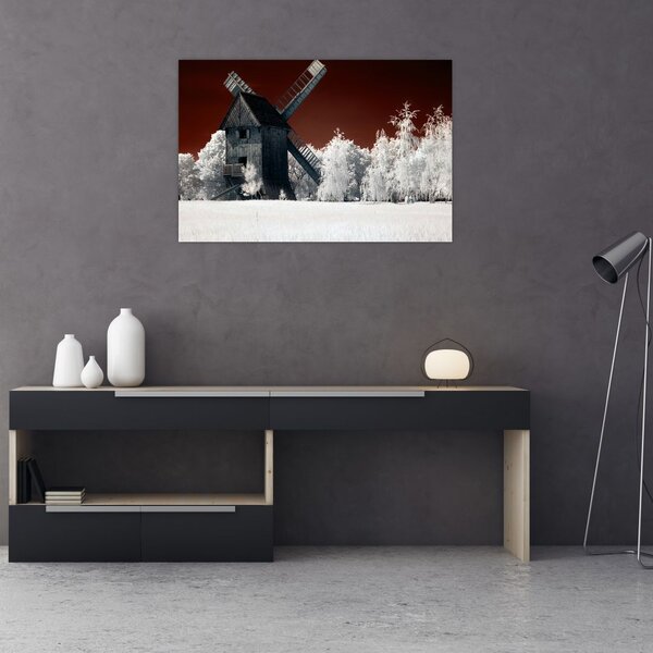 Tablou cu moară (90x60 cm)