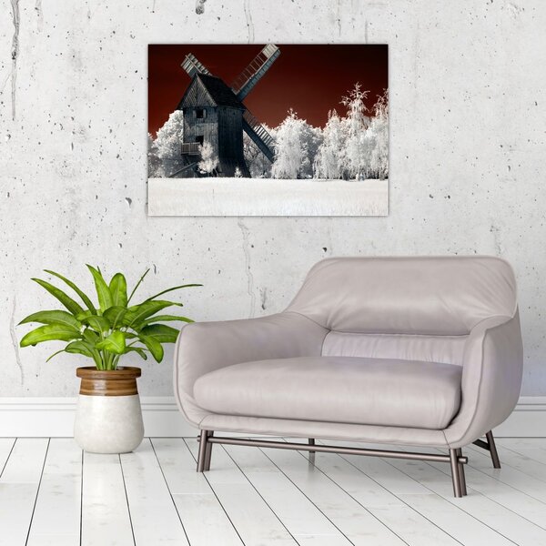 Tablou cu moară (70x50 cm)