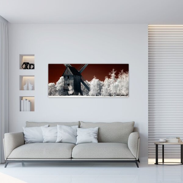 Tablou cu moară (120x50 cm)