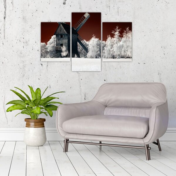 Tablou cu moară (90x60 cm)