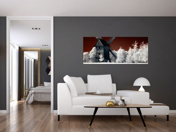 Tablou cu moară (120x50 cm)