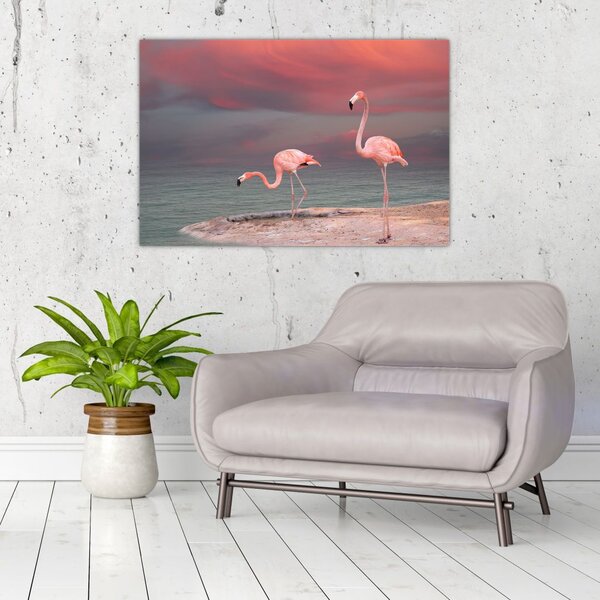 Tablou - Flamingo (90x60 cm)