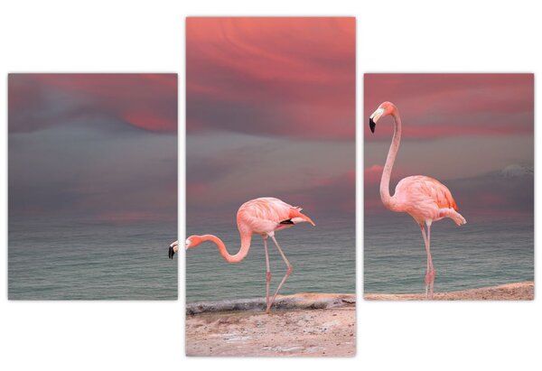 Tablou - Flamingo (90x60 cm)