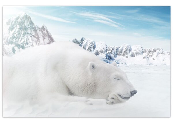 Tablou - Urs polar (90x60 cm)